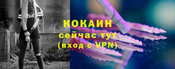 соль ск Абаза