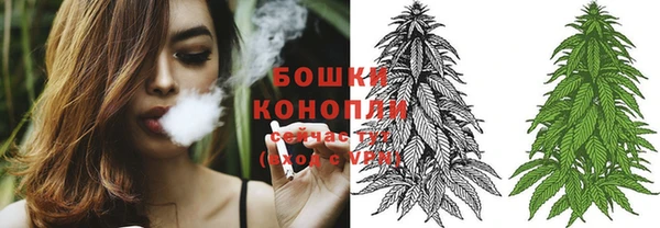 соль ск Абаза