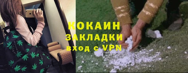соль ск Абаза