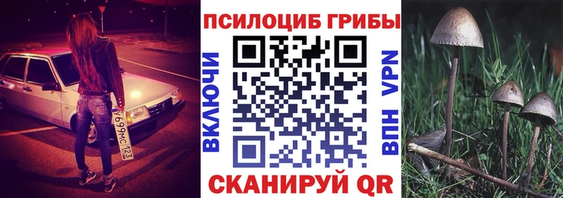 Галлюциногенные грибы Cubensis  blacksprut tor  Чулым 